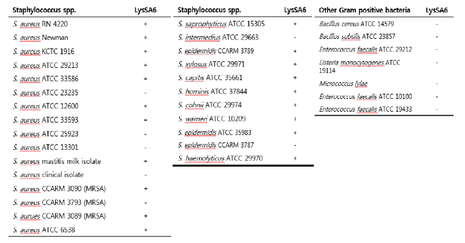 Endolysin LysSA6의 host range 측정 결과