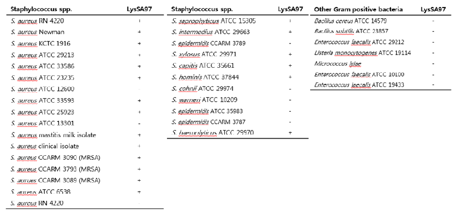 Endolysin LysSA97의 host range 측정 결과