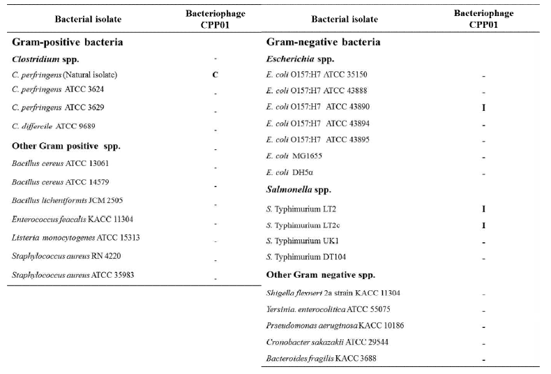 C. perfringens 를 감염시키는 박테리오페이지 CPP01의 host range