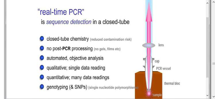 Capilary PCR의 원리.