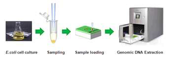 Realtime-PCR 실험 과정.