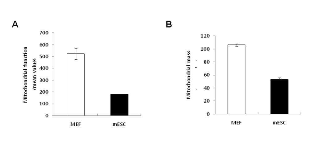 Mitochodrial function (A) and mass (B) in MEF and mESCs.