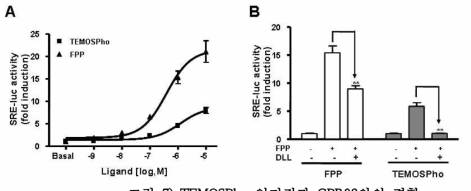 TEMOSPho 인지질과 GPR92와의 결합