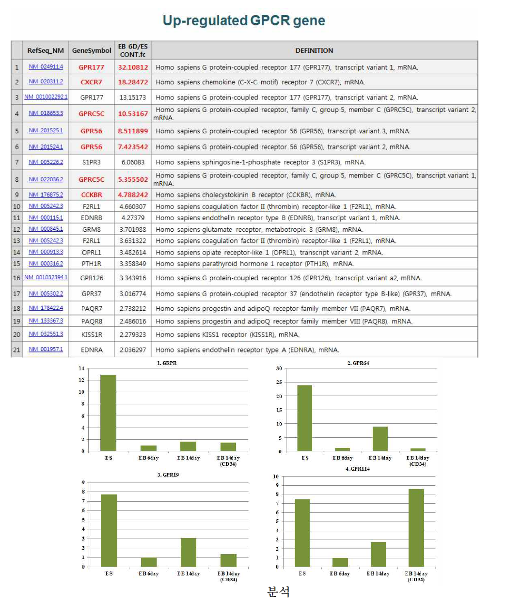 EB 세포로 분화(6일, 14일 분화)하는 과정에서 발현이 증가되는 GPCR 4개의 발현