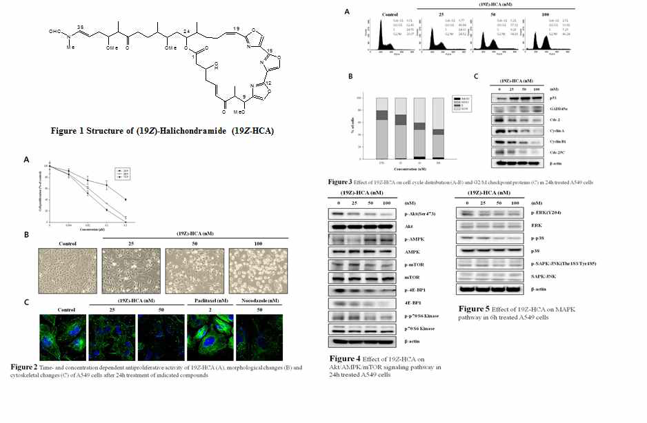 Growth inhibition and G2/M cell cycle arrest by (19Z)-halichondramide from Chondrosia coricata in human lung cancer cells