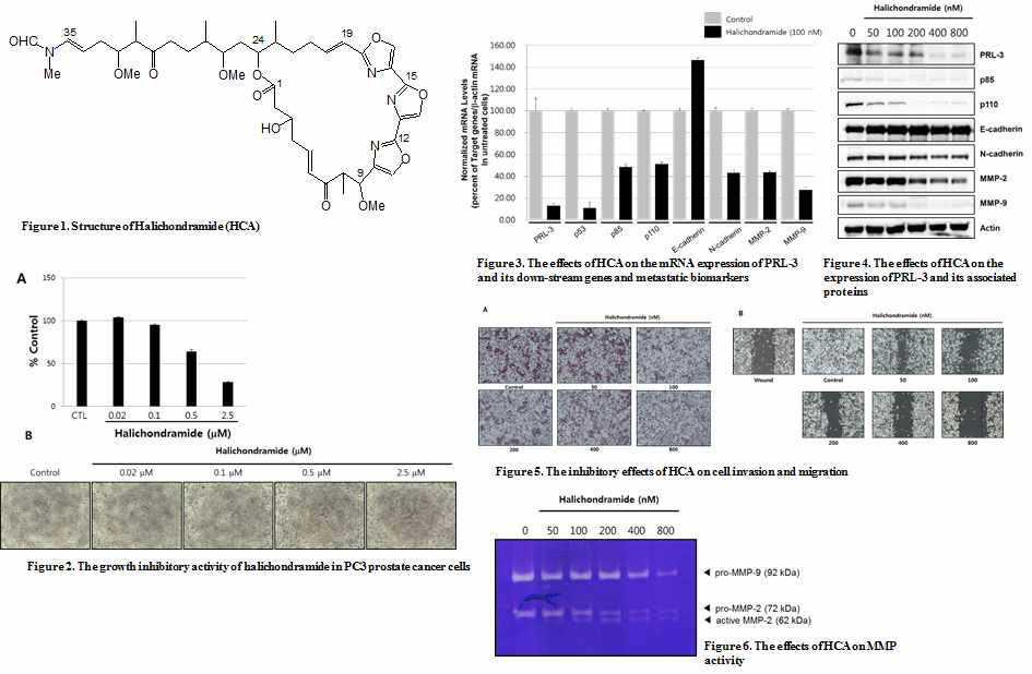 Antimetastatic Effect of Halichondramide on Human Prostate Cancer Cells