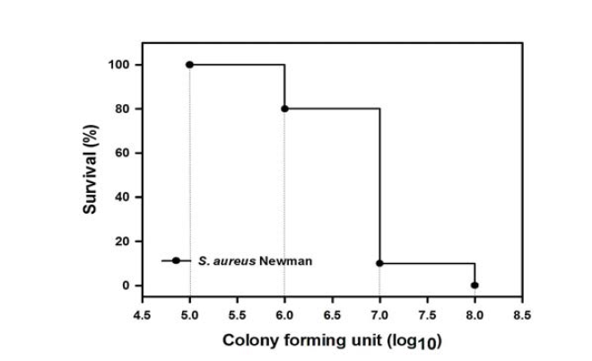 Mortality rates of Balb/c mice 7 days after infection with 105, 106, 107, and 108 CFU of S. aureus Newman strain (n=10 for each).
