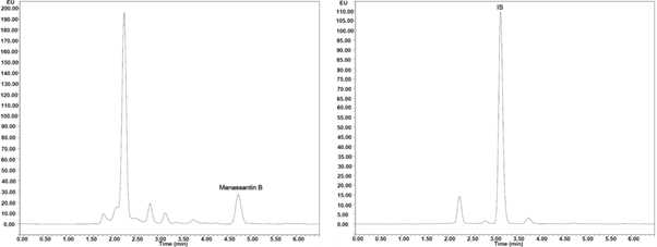 The chromatogram of plasma sample collected at 1 min after intravenous administration of manassantin B solution at a dose of 2 mg/kg in rats