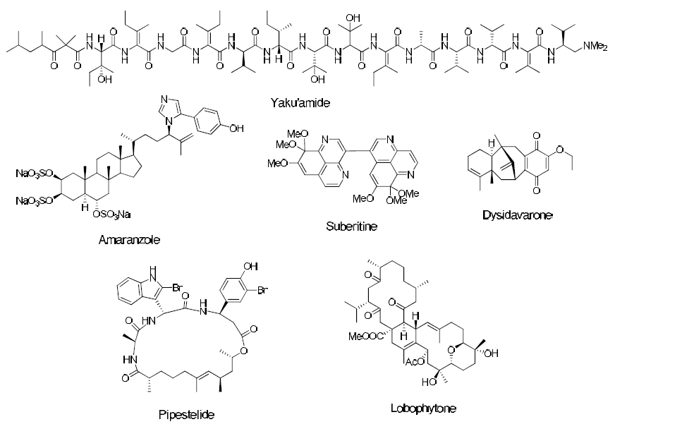 Recent examples of bioactive compounds derived from marine invertebrates.