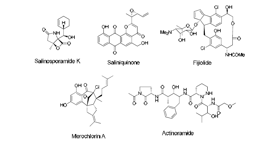 Recent examples of bioactive compounds derived from marine microbes.