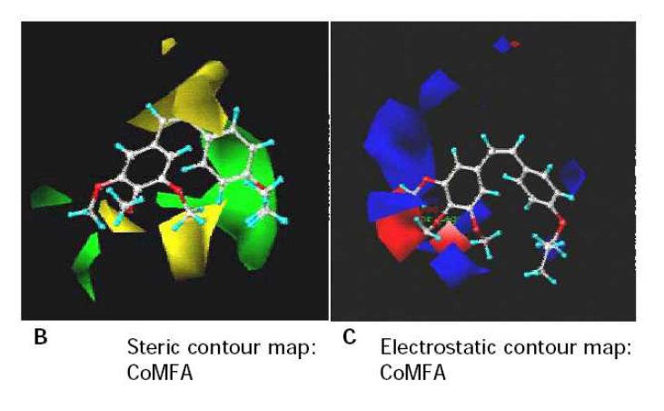 Molecular design of a new pharmacophore based on docking model