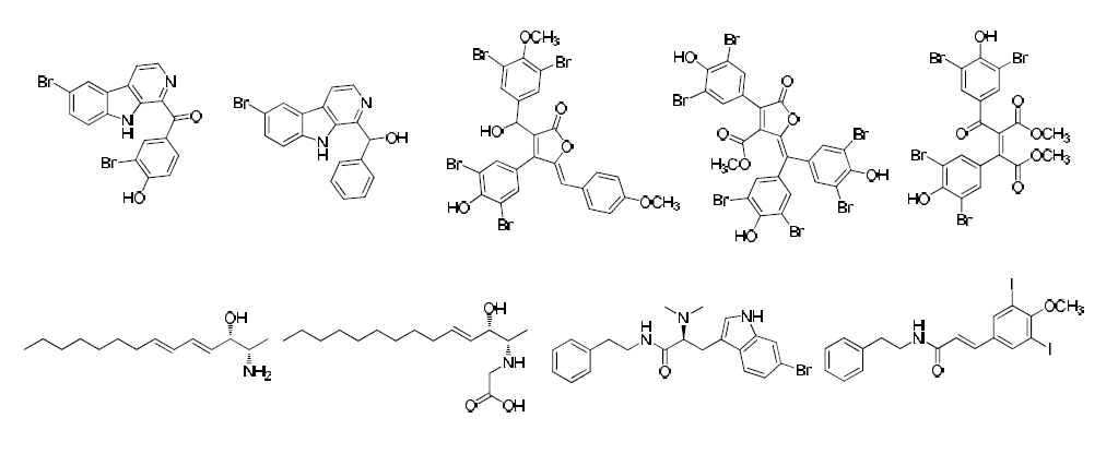 Structures of natural products from Korean tunicates