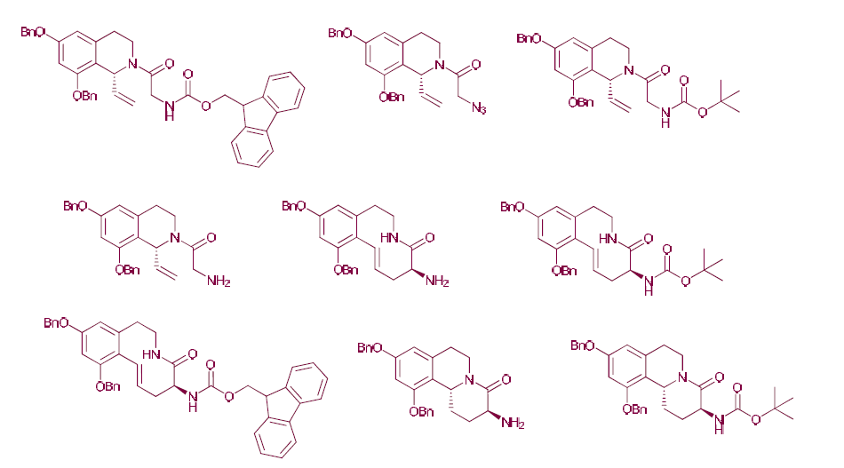 Synthesized Schulzeine A and C derivatives