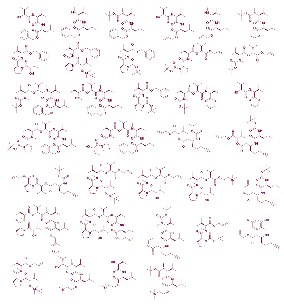 Synthesized Dolastatin 17 derivatives