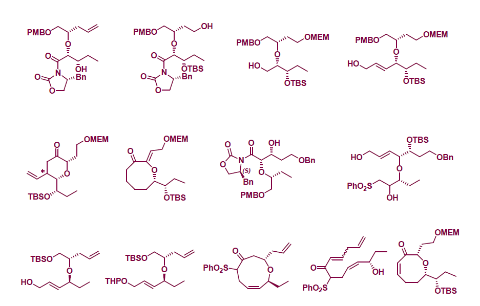 Thirteen (+)-Brasilenyne derivatives showing cytotoxicity