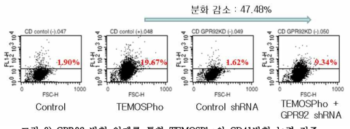 GPR92 발현 억제를 통한 TEMOSPho의 CD41발현 능력 검증