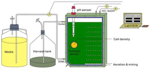 Schematic view of experimental set-up for continuous cultivation of N. gaditana under monochromatic illumination