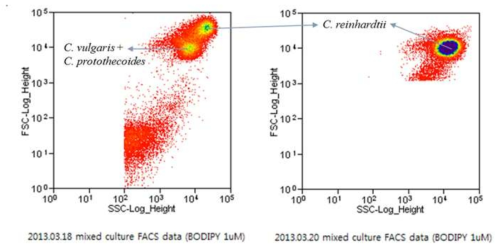 FACS data of mixed culture of three species