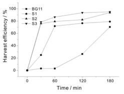 BG11, S1, S2, S3에서의 시간에 따른 침전수확 효율변화