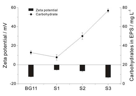 BG11, S1, S2, S3에서 자란 S. obliquus 세포들의 평균 zeta potential과 각 세포에서 분리해낸 EPS 농도 변화.