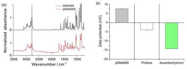 (a) pDMAMS가 코팅된 멤브레인과 DMAMS 단량체의 FT-IR spectra (b) pDMAMS가 코팅된 멤브레인, 코팅되지 않은 멤브레인 (Pristine), 미세조류 자체 (Aurantiochytrium) 의 제타 포텐셜 그래프