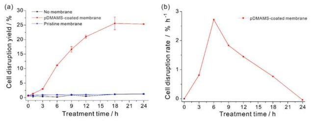 (a) pDMAMS로 코팅한 멤브레인과 일반 나일론 천(Pristine)으로 24시간 동안 접촉시킨 미세조류 배양액, 그리고 멤브레인 없이 교반만 한 배양액(No membrane)의 direct hexane extraction 수율 (b) pDMAMS로 코팅한 멤브레인과 접촉한 샘플의 시간당 파쇄량