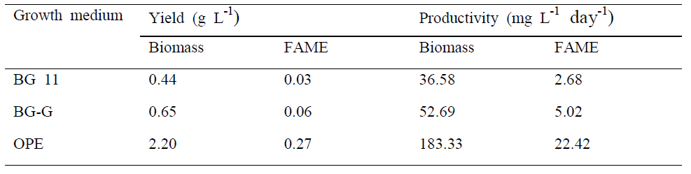 배지에 따른 바이오매스 및 FAME의 수율과 생산성 비교