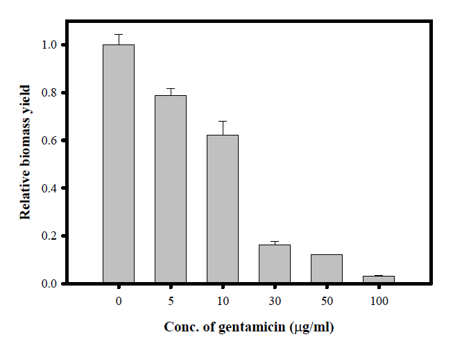 Gentamicin의 농도에 따른 Chlorella vulgaris의 relative biomass yield 변화