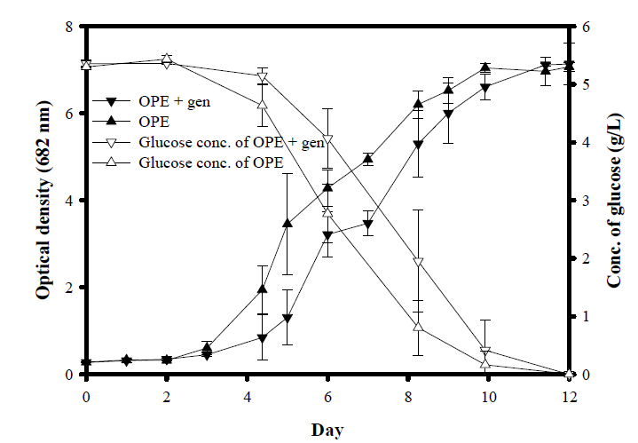 Gentamicin이 첨가된 OPE와 첨가되지 않은 OPE의 성장 곡선 및 glucose 농도 변화