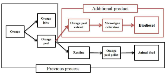 Orange peel을 이용한 미세조류 배양 system