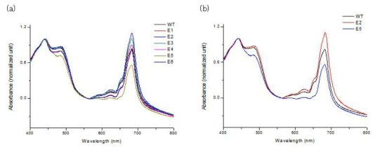 (a) UV spectra of C. vulgaris wild-type, E1, E2, E3, E4, E5, and E6. (b) Comparison of UV spectra of C. vulgaris wild-type, E2, and E5