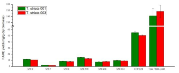 T. striata의 FAME 분석