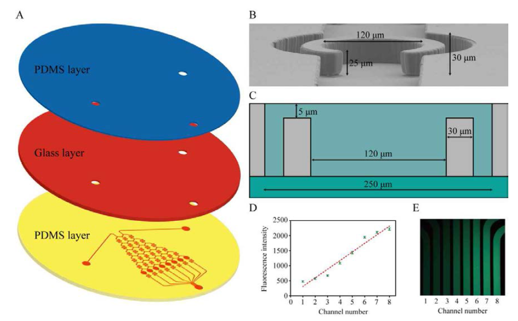Illustration of the Integrated Microfluidic Device for High-Throughput Screening of Microalgal Cell Culture Conditions Inducing High Growth Rate and Lipid Contents