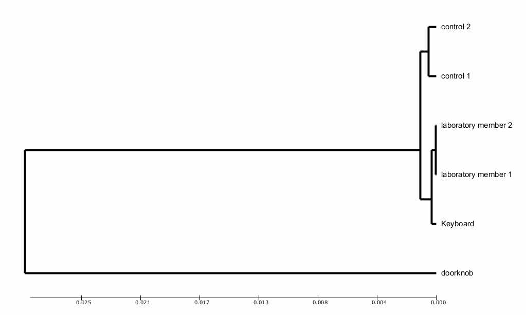 UPGMA(Unweighted Pair Group Method with Arithimetic Mean) dendrogram.