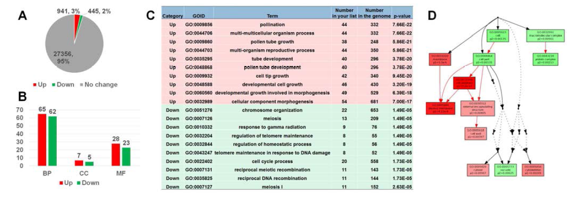 BPEV감염 및 비감염 피망의 RNA-Seq 수행 결과.