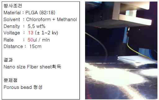 PLGA nanofiber 모습