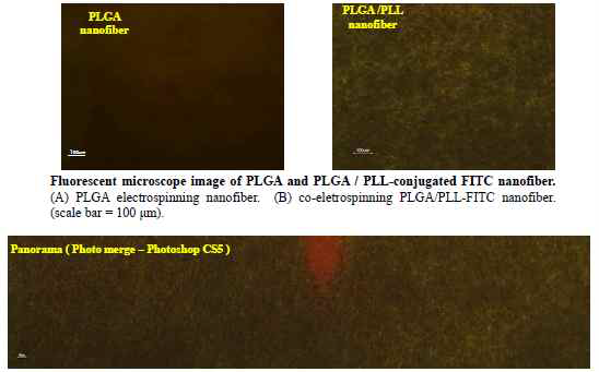 PLL distribution in fiber