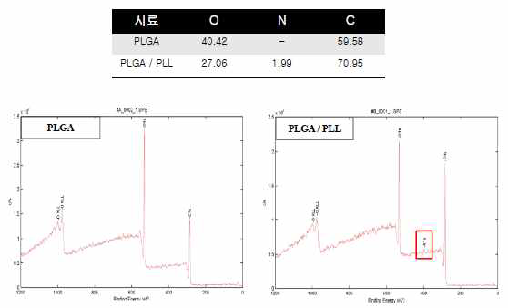 PLGA surface analysis