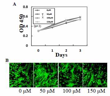 Cell proliferation and cytotoxicity of TX treated hASCs