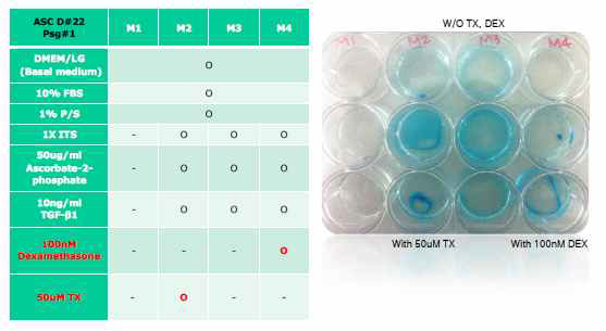 Test of chondrogenesis differentiation media with DSM and Dexamethasone