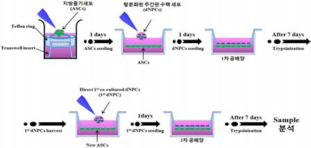 지속적인 공배양을 위한 방법에 대한 간단한 모식도.