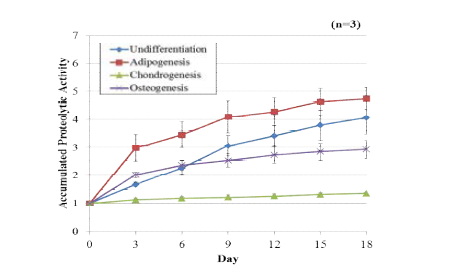 인간 지방유래 줄기세포의 지방, 연골, 골 분화 동안의 효소 활성