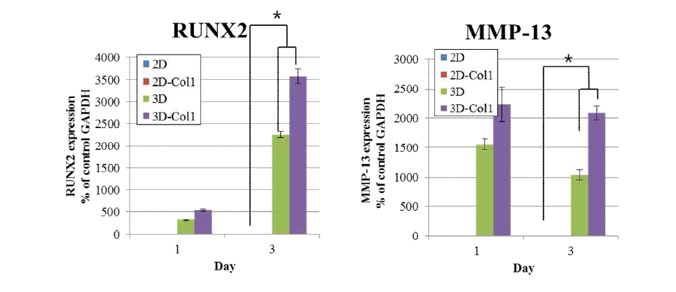 2차원 환경과 3차원환경에서 줄기세포의 골분화 효율비교