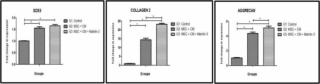 지방유래 줄기세포내 Matrillin-3 처리 후 연골관련 마커의 RT-qPCR 분석