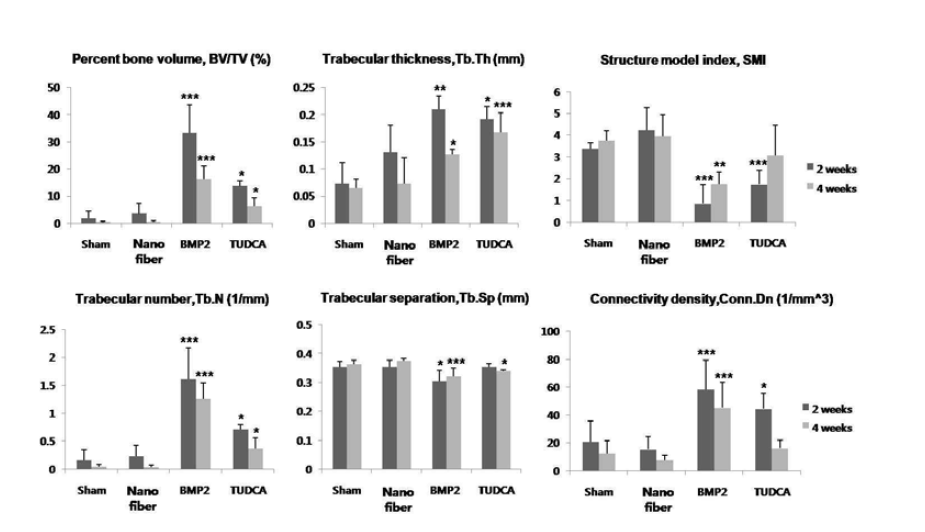 형성된 골조직의 micro-CT parameters 정량적 평가