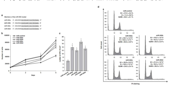 miR-302에 의한 지방줄기세포의 증식 및 세포주기 조절