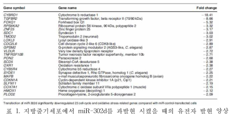 지방줄기세포에서 miR-302d를 과발현 시켰을 때의 유전자 발현 양상