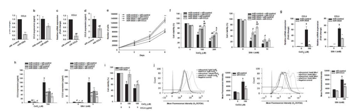 miR-302에 의한 지방줄기세포의 산화제 유도 세포사멸과 CCL5의 발현 간의 연관관계