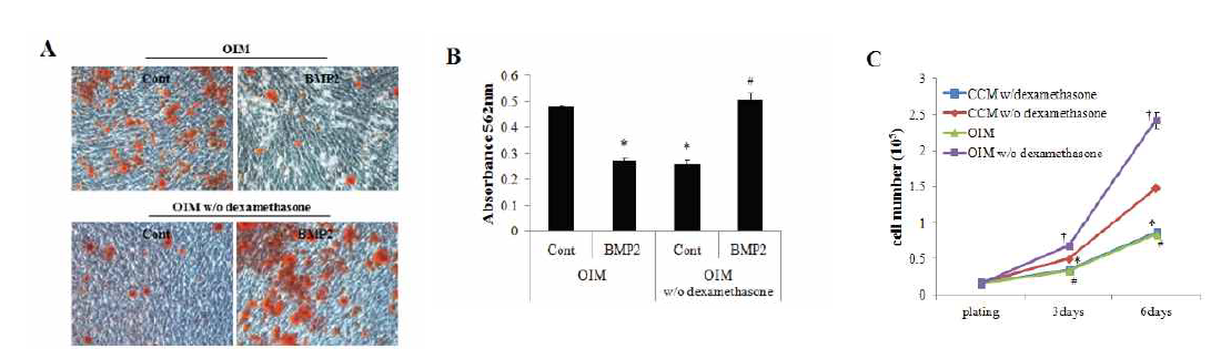 Dexamethasone 결핍 시 hADSC의 BMP2에 의한 골분화 및 증식효과