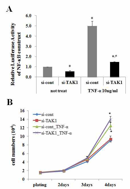 TNFα에 의한 NF-κB activation과 hADSC의 증식에 대한 TAK1의 효과